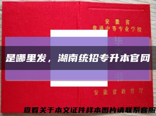 是哪里发，湖南统招专升本官网缩略图