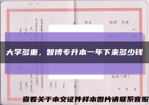 大学多重，智博专升本一年下来多少钱缩略图