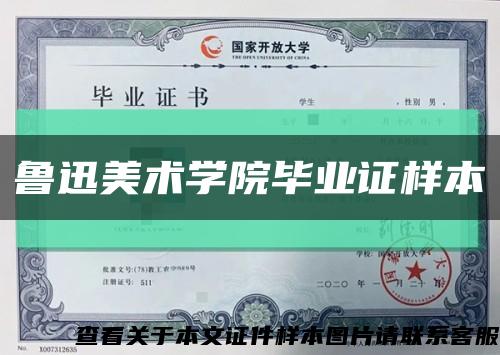鲁迅美术学院毕业证样本缩略图