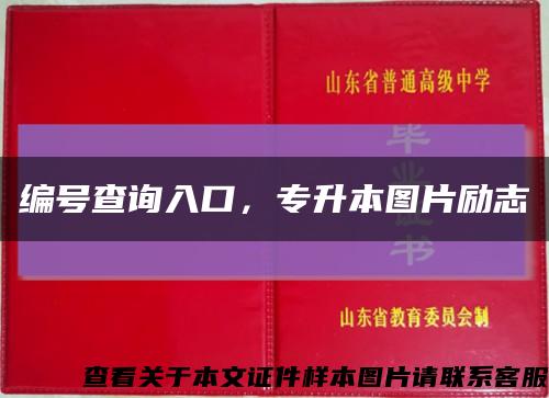 编号查询入口，专升本图片励志缩略图