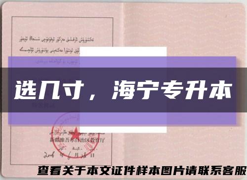 选几寸，海宁专升本缩略图