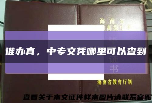 谁办真，中专文凭哪里可以查到缩略图