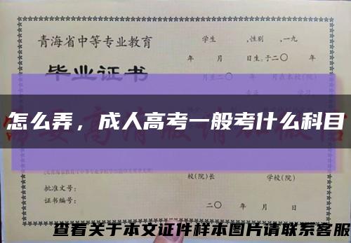 怎么弄，成人高考一般考什么科目缩略图