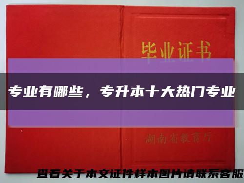 专业有哪些，专升本十大热门专业缩略图