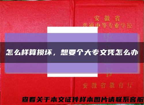 怎么样算损坏，想要个大专文凭怎么办缩略图