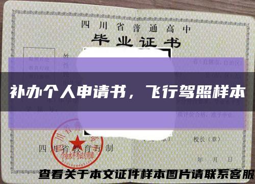 补办个人申请书，飞行驾照样本缩略图