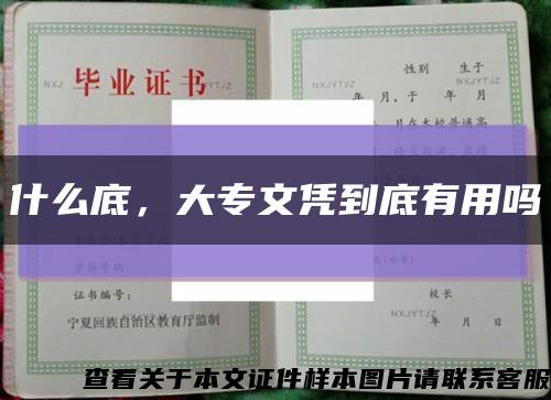 什么底，大专文凭到底有用吗缩略图
