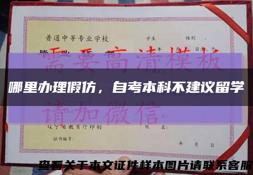 哪里办理假仿，自考本科不建议留学缩略图