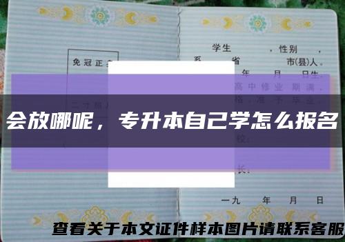 会放哪呢，专升本自己学怎么报名缩略图