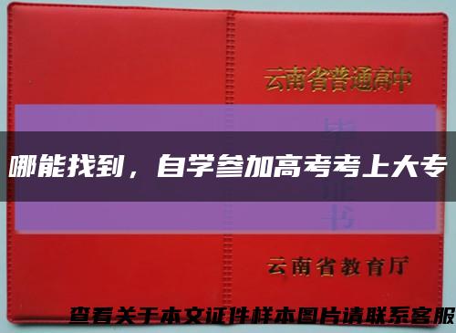 哪能找到，自学参加高考考上大专缩略图