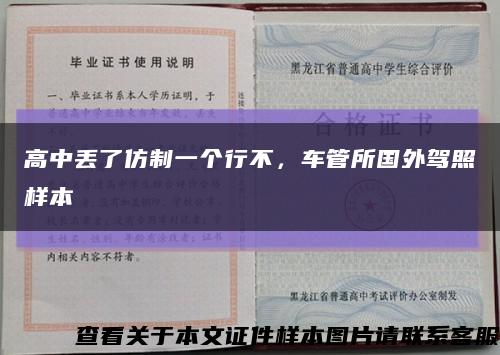 高中丢了仿制一个行不，车管所国外驾照样本缩略图