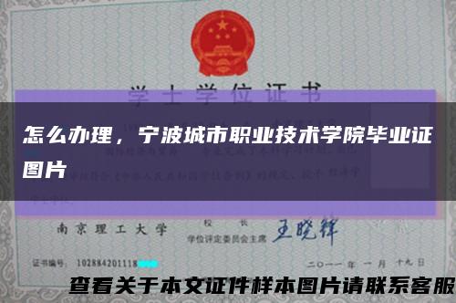 怎么办理，宁波城市职业技术学院毕业证图片缩略图