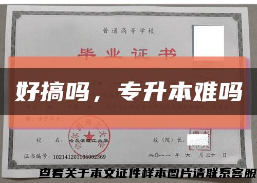 好搞吗，专升本难吗缩略图