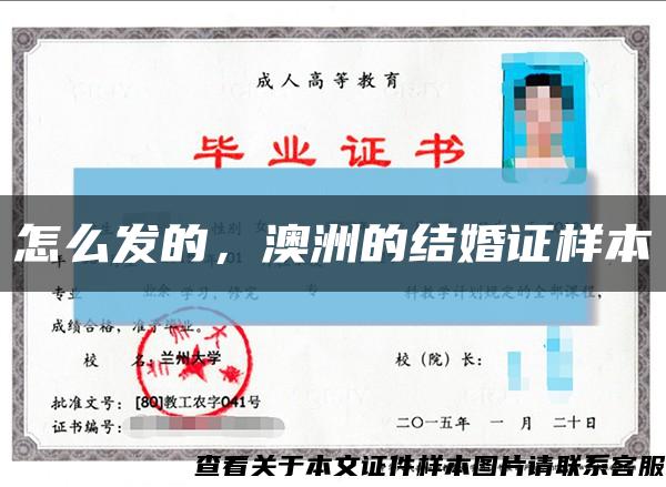 怎么发的，澳洲的结婚证样本缩略图