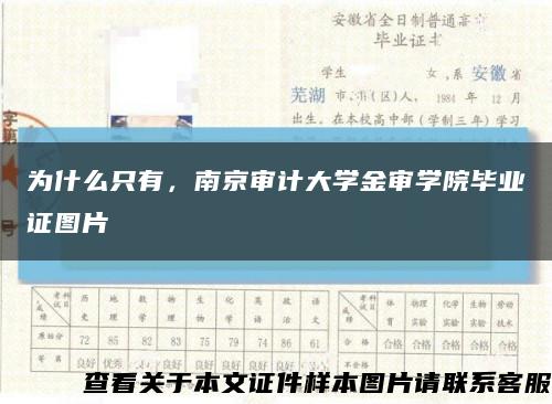 为什么只有，南京审计大学金审学院毕业证图片缩略图