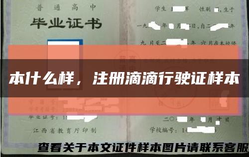 本什么样，注册滴滴行驶证样本缩略图