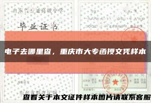 电子去哪里查，重庆市大专函授文凭样本缩略图