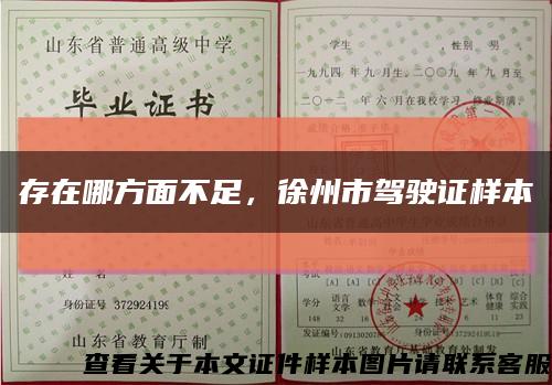 存在哪方面不足，徐州市驾驶证样本缩略图