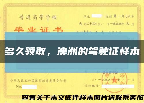 多久领取，澳洲的驾驶证样本缩略图