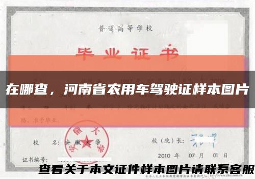 在哪查，河南省农用车驾驶证样本图片缩略图