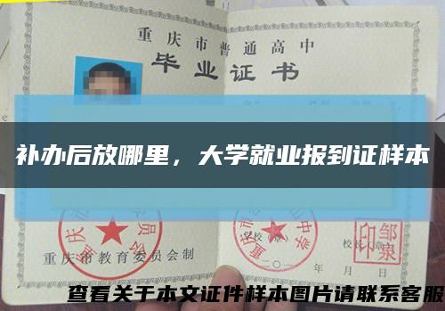补办后放哪里，大学就业报到证样本缩略图