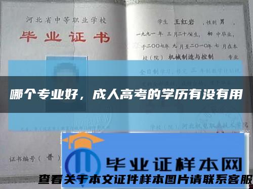 哪个专业好，成人高考的学历有没有用缩略图
