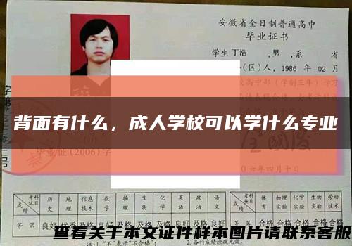 背面有什么，成人学校可以学什么专业缩略图