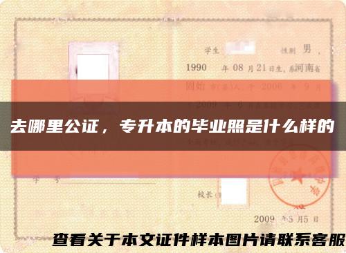 去哪里公证，专升本的毕业照是什么样的缩略图