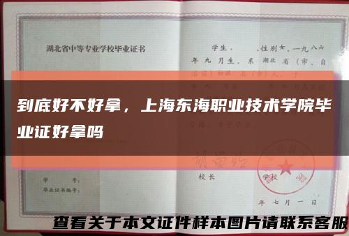 到底好不好拿，上海东海职业技术学院毕业证好拿吗缩略图
