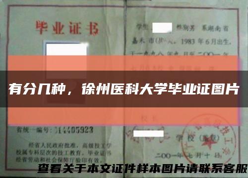 有分几种，徐州医科大学毕业证图片缩略图