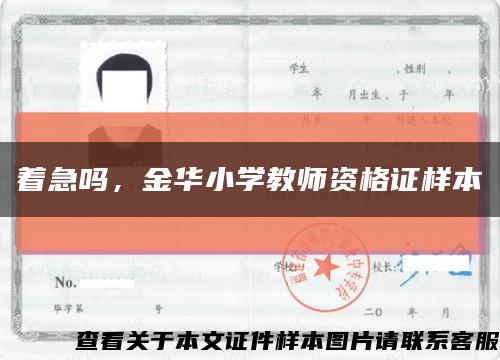 着急吗，金华小学教师资格证样本缩略图