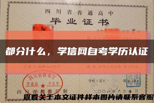 都分什么，学信网自考学历认证缩略图