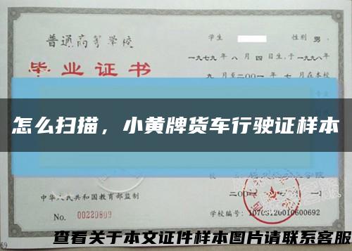 怎么扫描，小黄牌货车行驶证样本缩略图