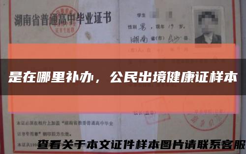 是在哪里补办，公民出境健康证样本缩略图