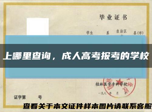 上哪里查询，成人高考报考的学校缩略图