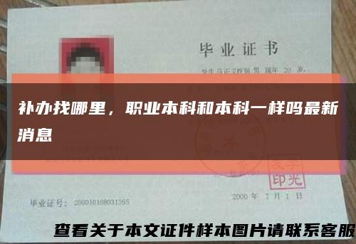 补办找哪里，职业本科和本科一样吗最新消息缩略图