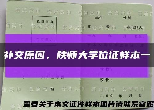 补交原因，陕师大学位证样本一缩略图