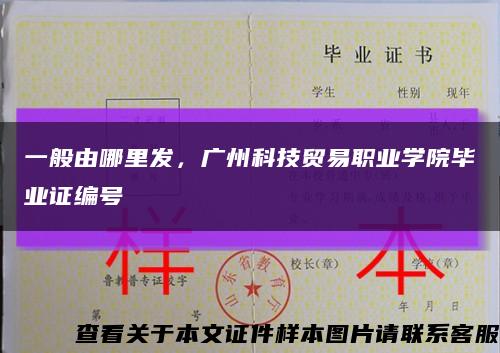 一般由哪里发，广州科技贸易职业学院毕业证编号缩略图