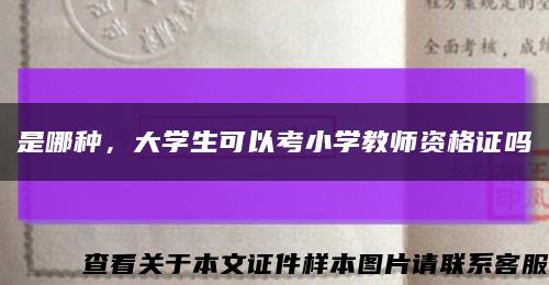 是哪种，大学生可以考小学教师资格证吗缩略图