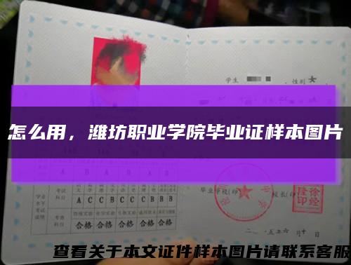 怎么用，潍坊职业学院毕业证样本图片缩略图