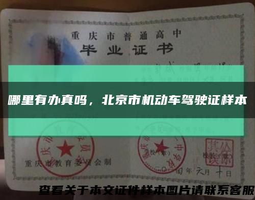 哪里有办真吗，北京市机动车驾驶证样本缩略图