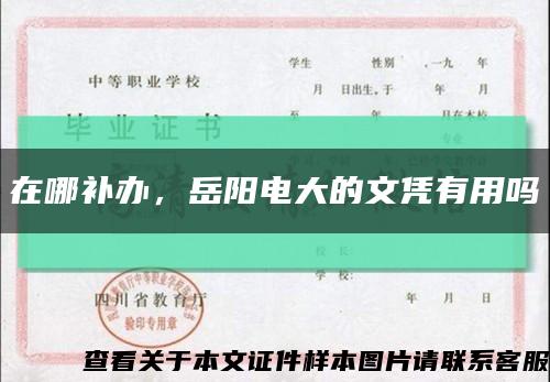在哪补办，岳阳电大的文凭有用吗缩略图