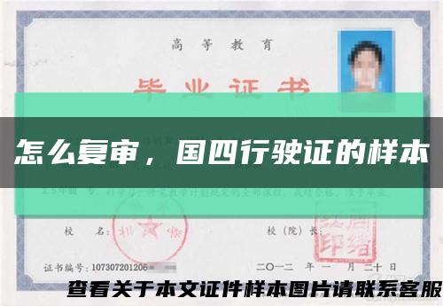 怎么复审，国四行驶证的样本缩略图