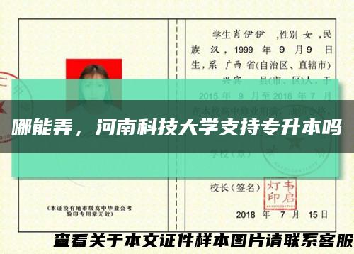 哪能弄，河南科技大学支持专升本吗缩略图