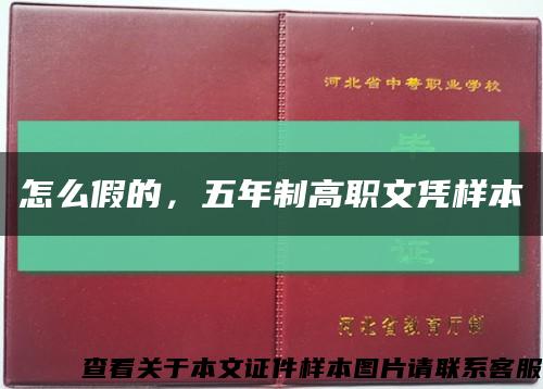 怎么假的，五年制高职文凭样本缩略图