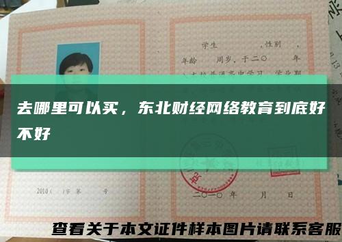 去哪里可以买，东北财经网络教育到底好不好缩略图