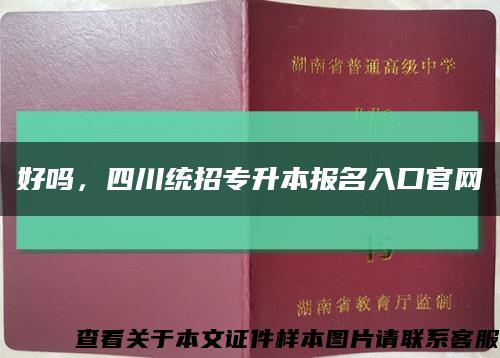好吗，四川统招专升本报名入口官网缩略图