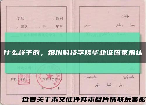 什么样子的，银川科技学院毕业证国家承认缩略图