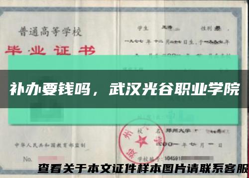 补办要钱吗，武汉光谷职业学院缩略图