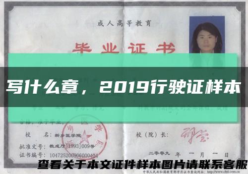 写什么章，2019行驶证样本缩略图